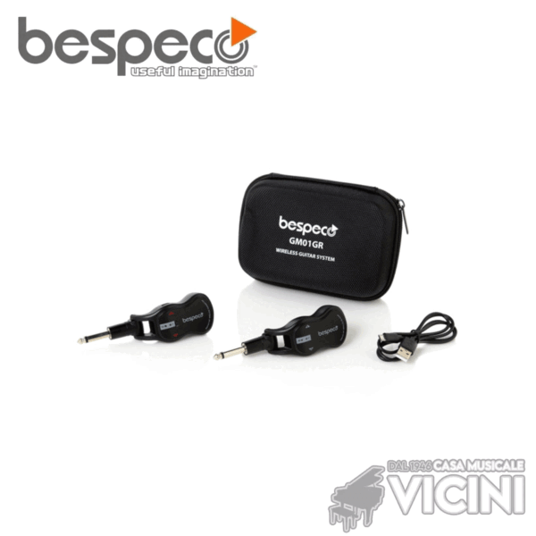 SISTEMA WIRELESS BESPECO GM01GR